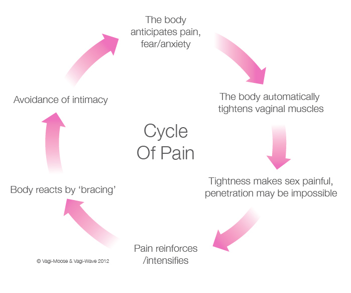 Painful Sex Cycle of Pain